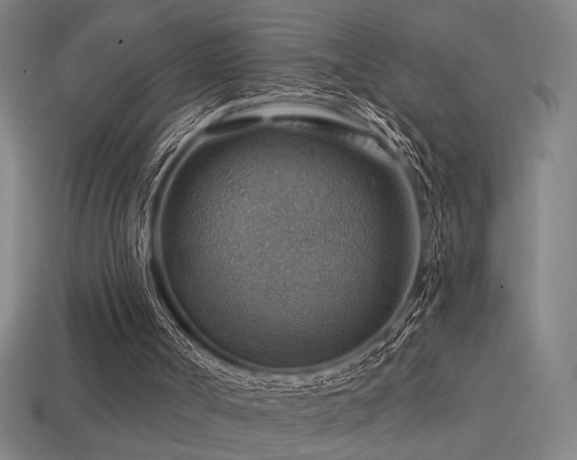 X0000114420002200910161238