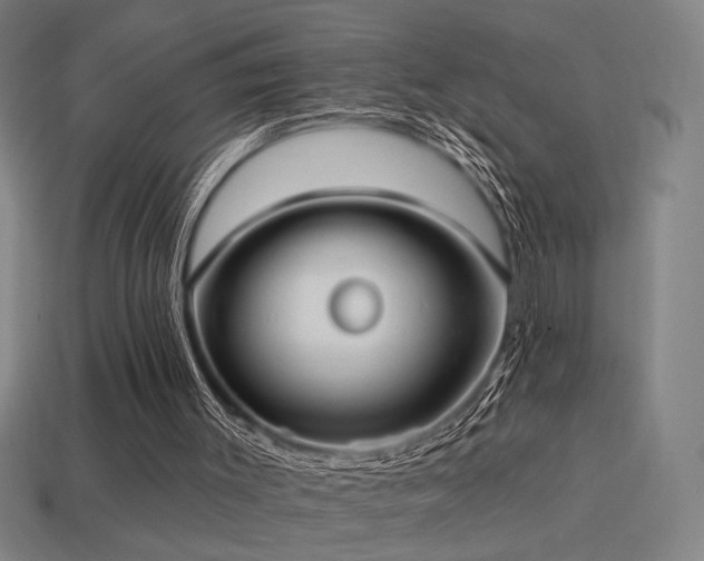 X0000114420003200910161238