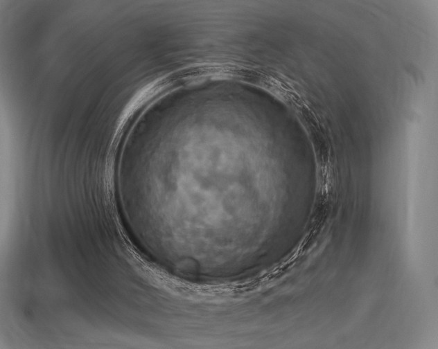 X0000114420004200910161238