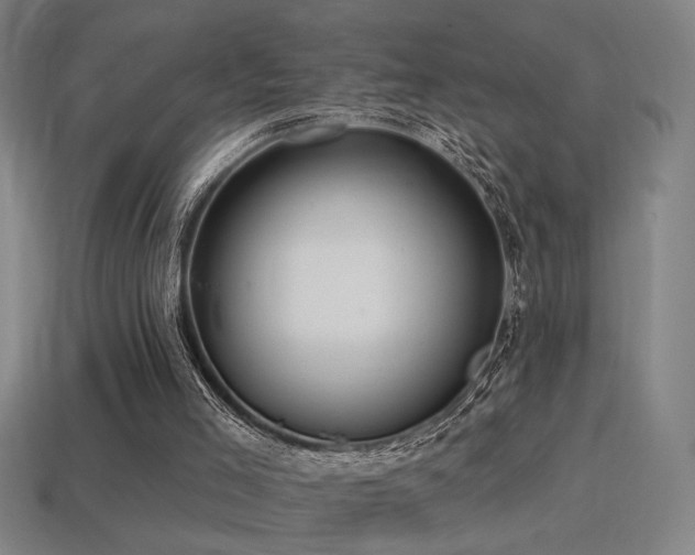 X0000114420005200910161238