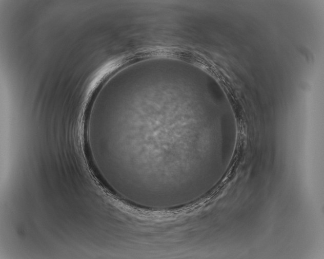 X0000114420006200910161238