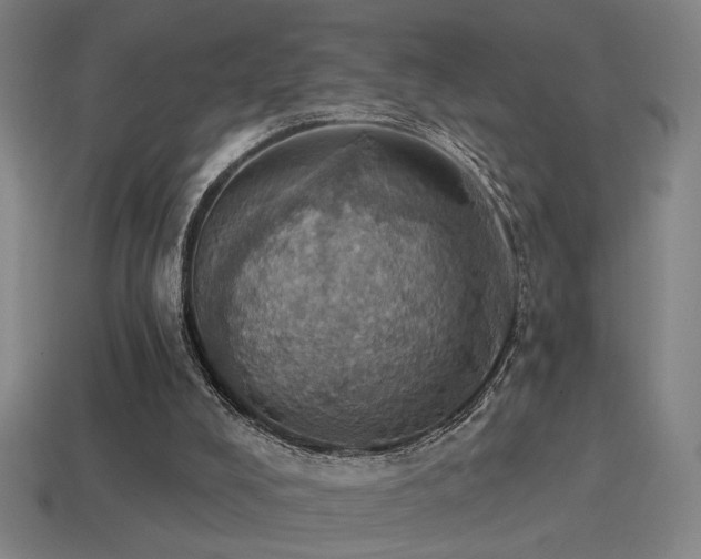 X0000114420008200910161238