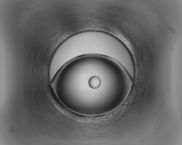 X0000114420009200910161238