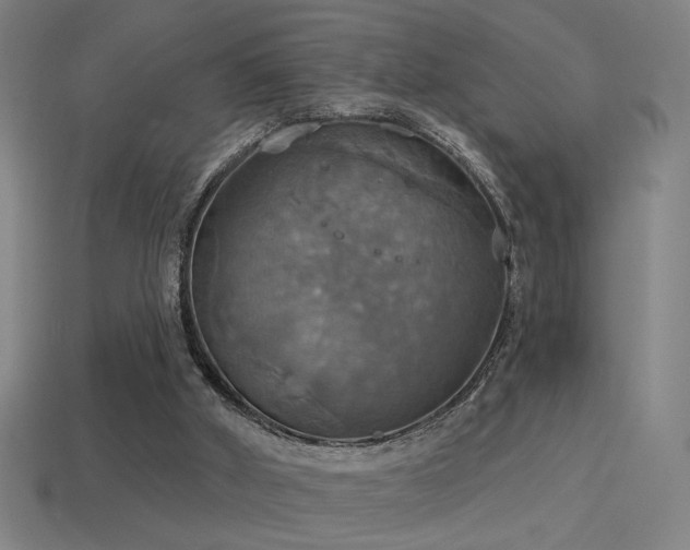 X0000114420010200910161238
