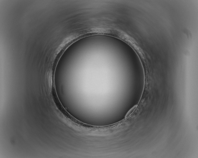 X0000114420011200910161238