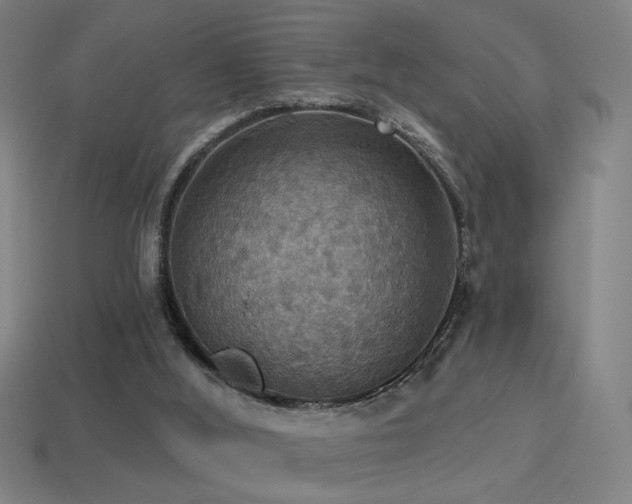 X0000114420012200910161238