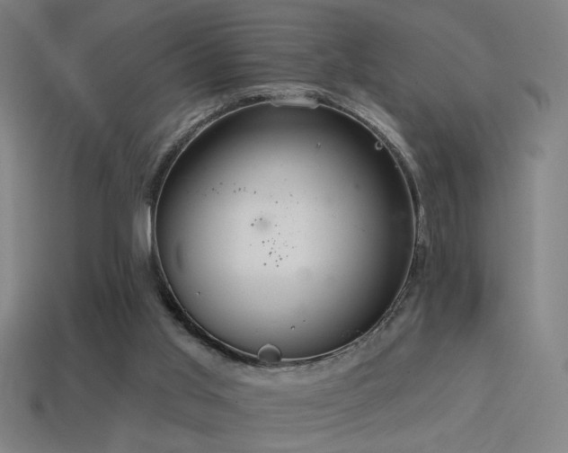 X0000114420013200910161238