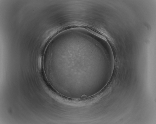 X0000114420014200910161238