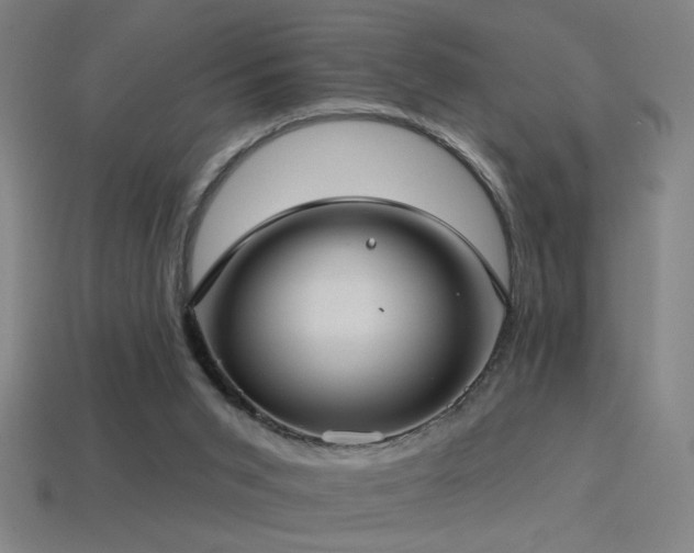 X0000114420015200910161238