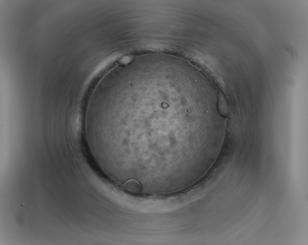 X0000114420016200910161238