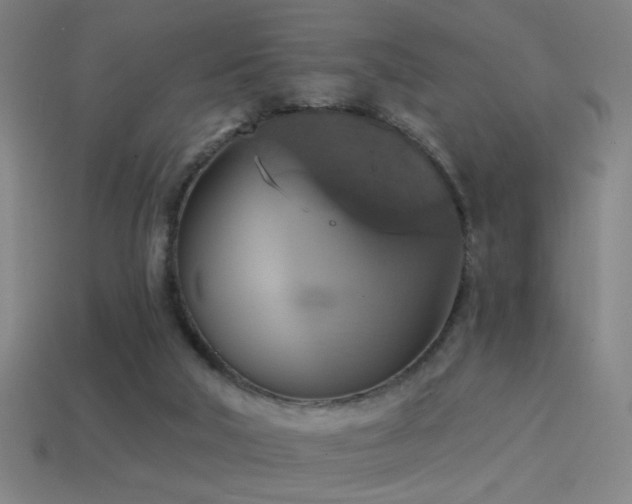 X0000114420018200910161238