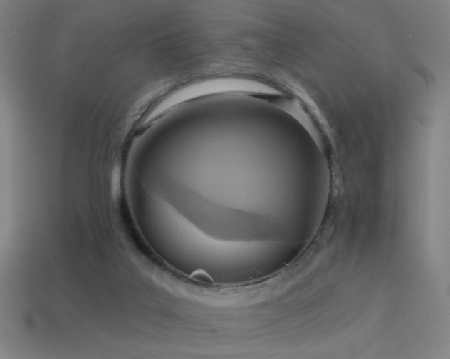 X0000114420019200910161238