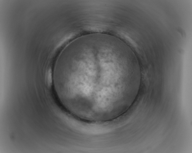 X0000114420020200910161238