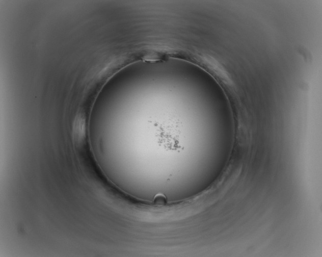 X0000114420021200910161238
