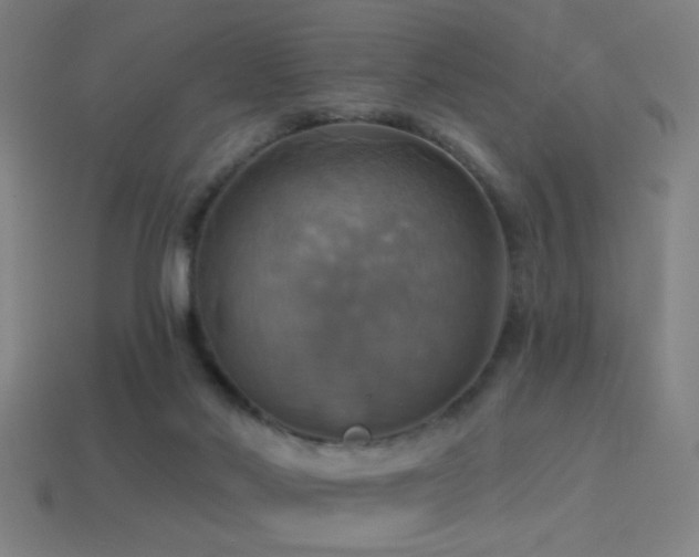 X0000114420022200910161238