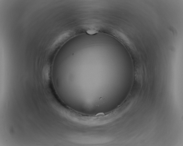 X0000114420023200910161238