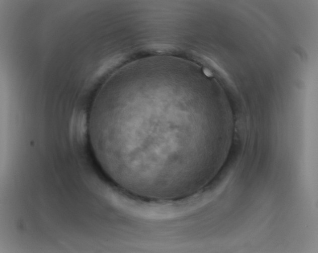 X0000114420024200910161238