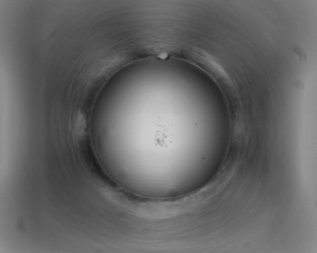 X0000114420025200910161238
