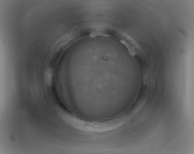 X0000114420026200910161238