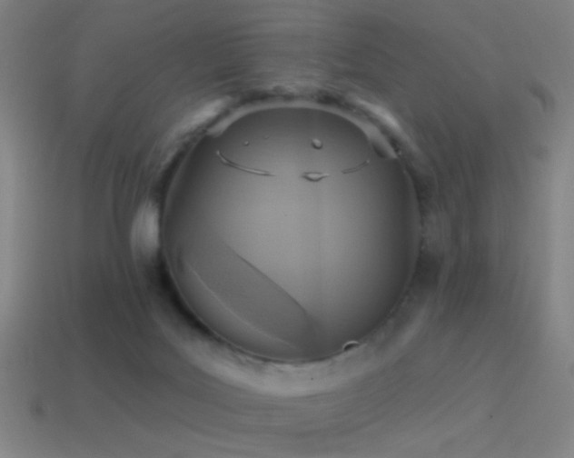 X0000114420027200910161238