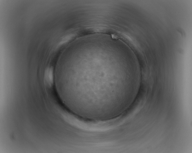 X0000114420028200910161238