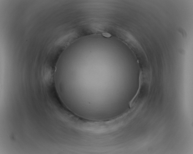 X0000114420029200910161238