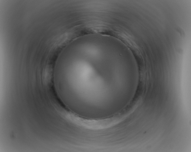 X0000114420030200910161238