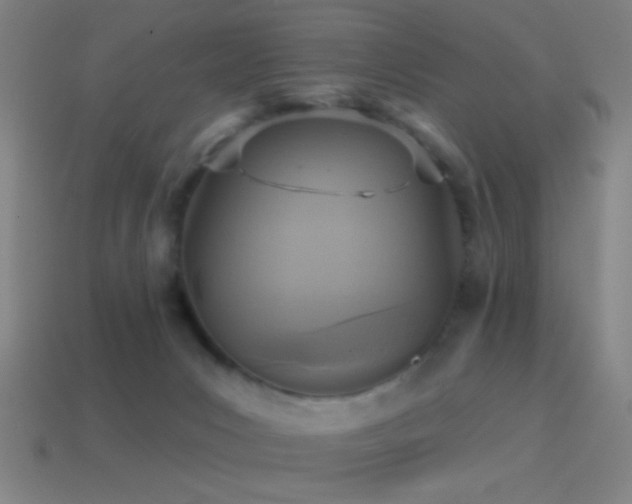 X0000114420031200910161238