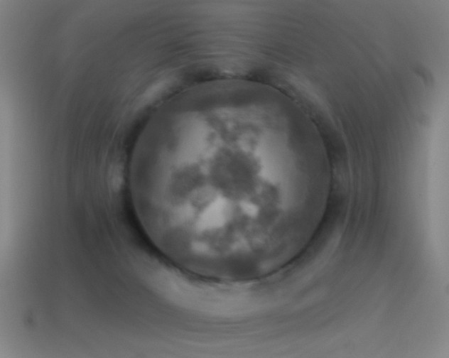 X0000114420032200910161238