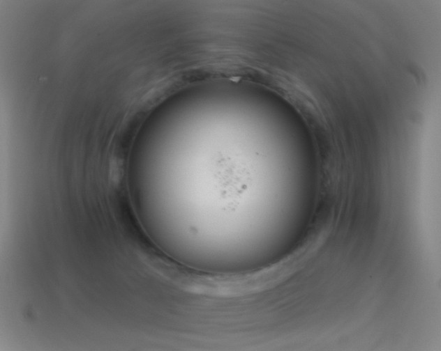 X0000114420033200910161238