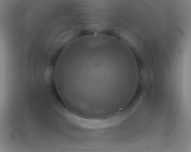 X0000114420034200910161238