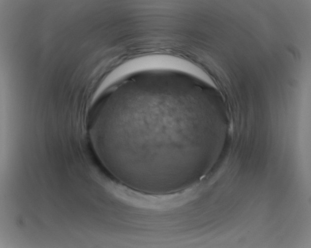 X0000114420035200910161238