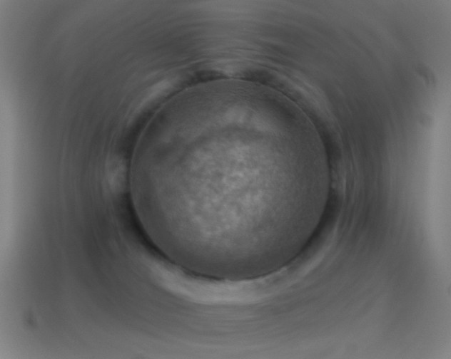 X0000114420036200910161238