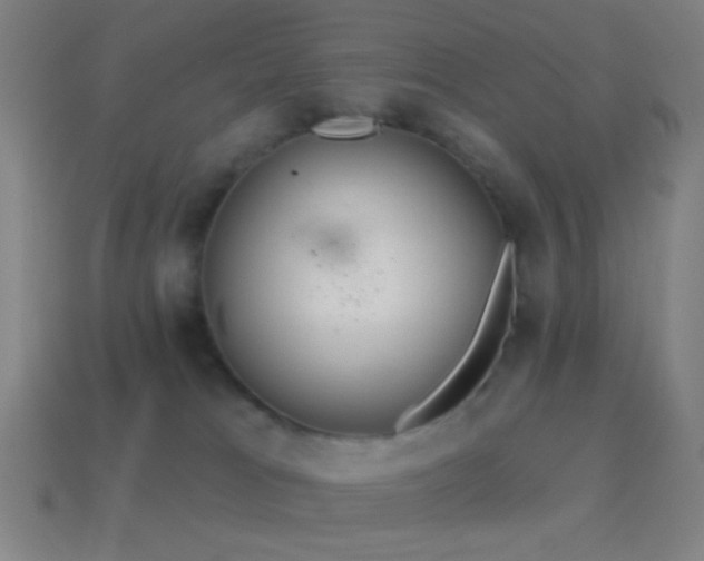 X0000114420037200910161238