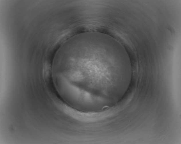 X0000114420038200910161238