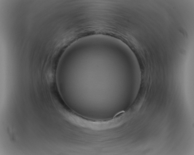 X0000114420039200910161238