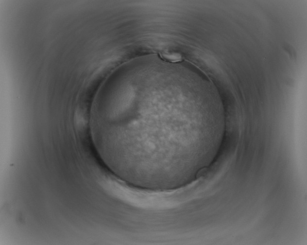 X0000114420040200910161238