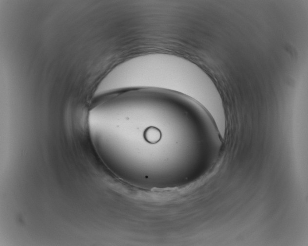 X0000114420041200910161238