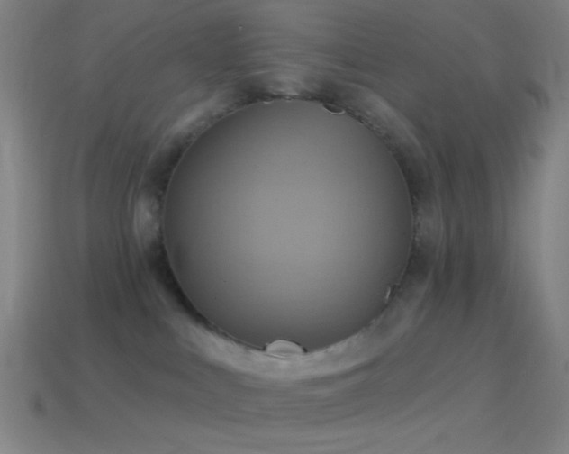 X0000114420043200910161238