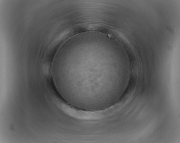 X0000114420044200910161238