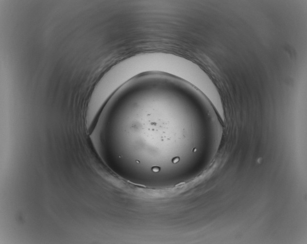 X0000114420045200910161238