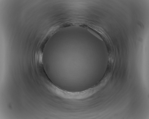 X0000114420046200910161238