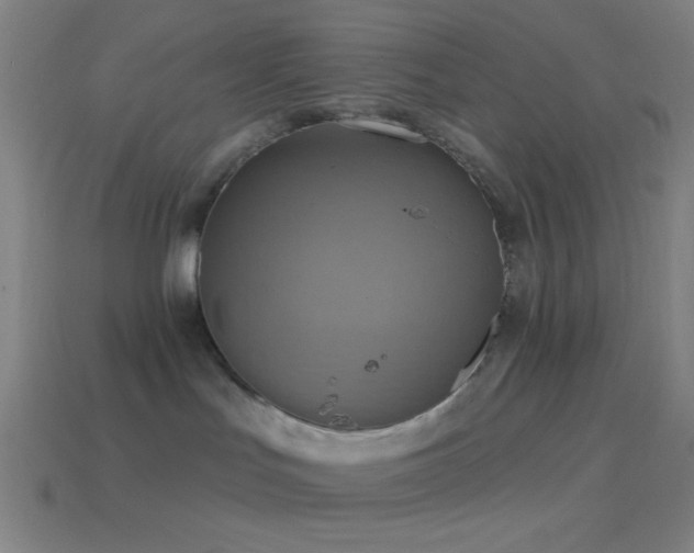 X0000114420047200910161238