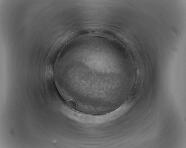 X0000114420048200910161238