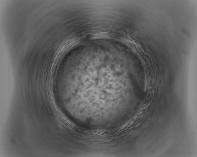 X0000114420049200910161237