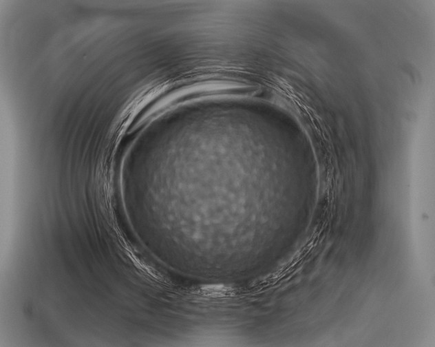 X0000114420050200910161237