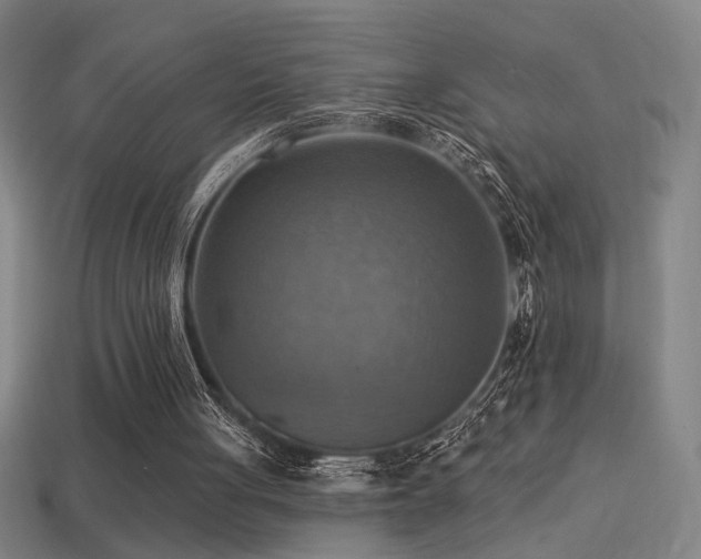 X0000114420051200910161237