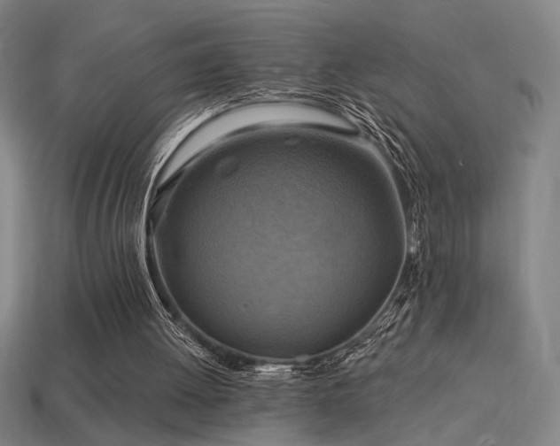 X0000114420052200910161237