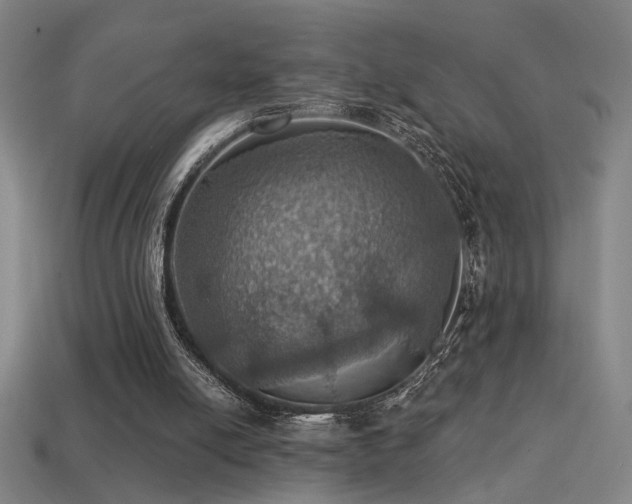 X0000114420054200910161237