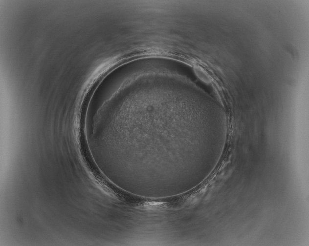 X0000114420055200910161237